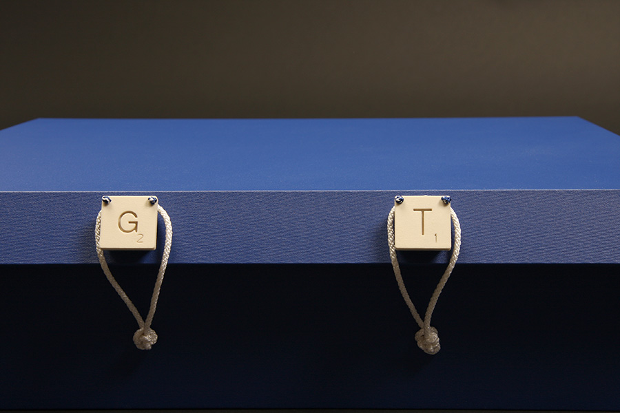 Sanzi Kermes, GT 428-275 703, detail